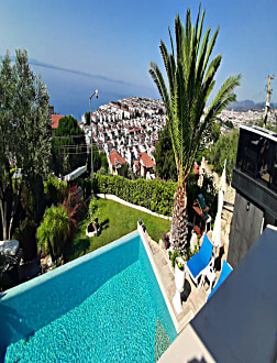 Genel